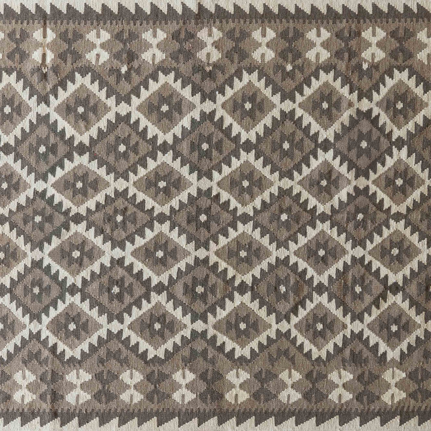 Casa blanca Handcrafted Classic Vintage Wool Beige Rug